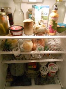 fridgeshrunk
