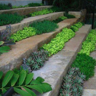 growingsteps
