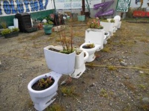 toilets
